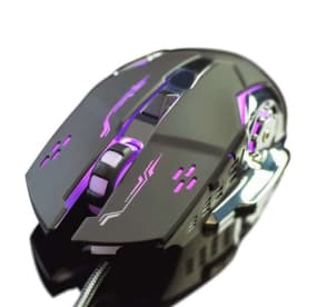 mouse